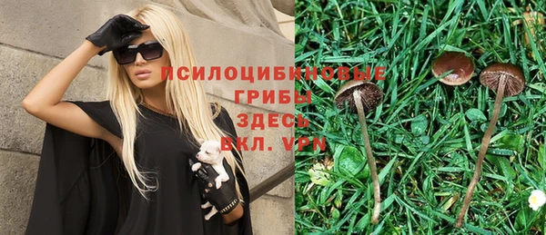 гидропоника Вяземский