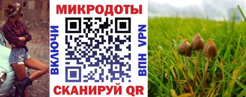 Псилоцибиновые грибы Psilocybine cubensis  Жиздра 