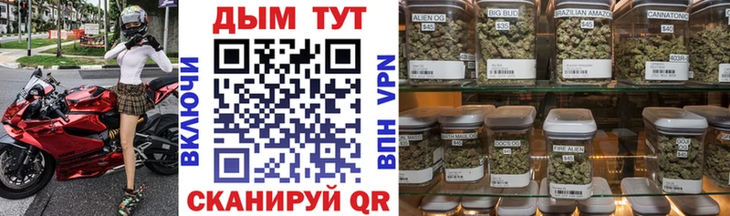Бошки марихуана Ganja  купить наркоту  Жиздра 